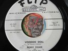 HEAR Bobby Please & Ray Johnson 45 Voodoo Doll/Hop Scotch NM popcorn teen teener