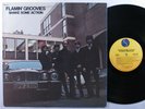 FLAMIN' GROOVIES Shake Some Action SIRE LP VG++ *