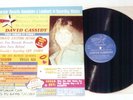 Everything You Always Wanted to Know About David Cassidy Superstar Records LP