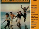 BEAU BRUMMELS, The - Introducing The Beau Brummels - Vinyl (LP)
