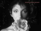 Kate Bush - The Sensual World REMASTERED vinyl LP NEW/SEALED