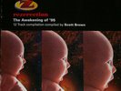 Various - Rezerection - The Awakening Of '95, 2xLP, Comp, (Vinyl)