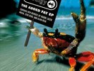 Prodigy* - The Added Fat EP, 12