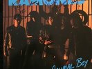 Ramones - Animal Boy   Signed  Autographed  Sex Pistols Buzzcocks Clash