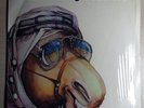 Wanna Buy A Camel ? - Abu Hafla Orchestra 1978 RARE LP ISRAEL FUNK  PSYCH DISCO
