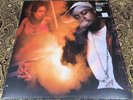 Jay Dee Aka J Dilla - Welcome 2 Detroit (2 Vinyl LP) NM/NM Slum Village Madlib