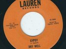 NY Garage psych / Soul - Dry Well LAUREN 2515 Gypsy / Try a little tenderness ?