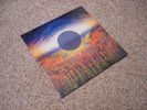 All India Radio - Fall Remixes [Vinyl, In Shrink, Limited Edition, Mint]