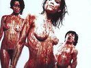 Dwarves - Blood Guts & Pussy