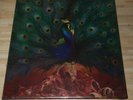 OPETH  sorceress  BOX  2016