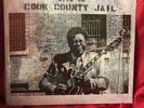 B.B. King Live in Cook County Jail 12