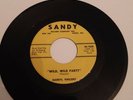 Rare Darryl Vincent, Wild, Wild Party - Rockerbilly 45 on Sandy Label in VG+