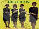 60S GIRL GROUP SOUND POP STATESIDE THE CHIFFONS SWEET TALKIN' GUY PICTURE SLEEVE