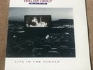 Walter Trout Life In The Jungle 12” Vinyl Original 1990 Pressing Brand New Mint