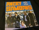 Angry Samoans ?– STP Not LSD LP Vinyl
