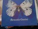 Francesco Guccini - Parnassius -  1 stampa 1993 Mint/Near Mint