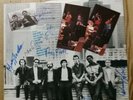 Vinyl 12