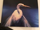 faith no more angel dust vinyl 180g Reissue 2015 Bonus Tracks