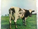 Vintage Pink Floyd Atom Heart Mother Quadraphonic LP Great Britain