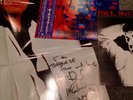 Paul McCartney Tug Of War Japan Vinyl Rare Poster, OBI, Insert 1982 EX Beatles