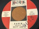 RARE Doo Wop Rocker 45 Rusty Lane Laurie Lbl.