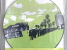 Fear Before the March of Flames - Art Damage Vinyl LP Picture Disc 1st Press