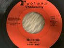 GARY WEY Unknown Utah  Private Press PSYCH FUZZ 45 1970s HEAR