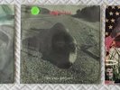 PEARL JAM Fan Club Christmas Singles 