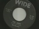 ROCKABILLY SURF INSTRO bw POPCORN VOCAL -DEL-RAYS -THE DUKE  -HEAR -1964 WIDE