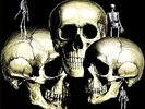 Skull Snaps - Skull Snaps