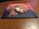 Janet Jackson - The Velvet Rope LP On Black Vinyl W/ Hidden Track USED
