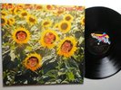 SUNNYBOYS   individuals      gatefold;