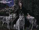 Steve Hackett - Wolflight Vinyl