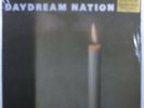 SONIC YOUTH Daydream Nation GOOFIN' GOO-013 4XLP boxset SEALED  