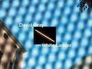 White Ladder (2020 Remaster) [2LP White Vinyl] GRAY,DAVID Discs: 2 Babylon NEW