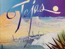 ZZ Top - Tejas LP (Warner Bros. Records K 56 605) 1980 NEAR MINT