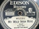 Walter Van Brunt: Mother Machree / My Wild Irish Rose #80293 Edison Diamond Disc