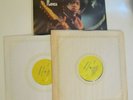 Double Album Jimi Hendrix James Marshall Ladyland in Flames LP