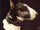 Pixies - Here Comes Your Man (12