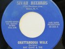 RAY GANT & ARABIAN Knights Chattanooga Walk SIVAD 45 soul funk HEAR