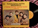 Tommy James & The Shondells I Think We're Alone Now US 1st Roulette MONO LP VG+