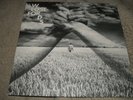Pink Floyd Lost For Words 7