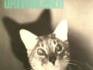 JAWBREAKER Unfun LP Remastered TRANSPARENT GREEN VINYL Album PUNK Reissue 2009