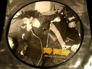 BAD BRAINS Omega Sessions PICTURE DISC 10