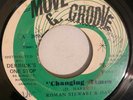 ROMAN STEWART & DAVE - CHANGING TIMES - MOVE & GROOVE ( ROOTS 7 )