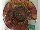 ALICE IN CHAINS WOULD RARE LIMITED EDITION NUMBERED PICTURE DISC 7
