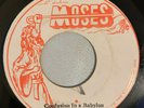 THE MESSIAHS - CONFUSION IN A BABYLON - MOSES ( STEPPER ROOTS 7 )