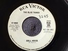THE BLUE THINGS - DOLL HOUSE rare US 1966 DEMO PROMO / GARAGE / PSYCH / MINT-