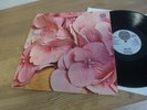 STILL LIFE SAME LP 1970 1ST VERTIGO SWIRL MONSTER TOP RARITÄT