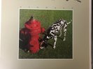 RUSH - Signals VINYL LP 2015 Anthem / Mercury Excellent Condition